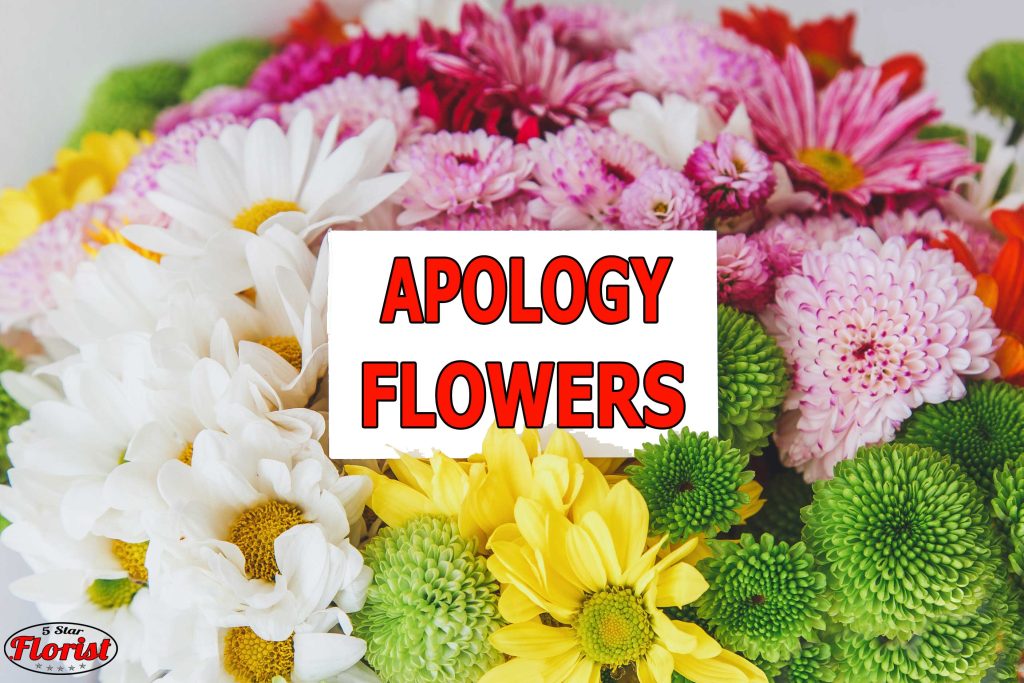 apology flowers Tulsa